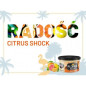K2 FLORIDA SCENT CITRUS SHOCK K2 FLORIDA SCENT CITRUS SHOCK