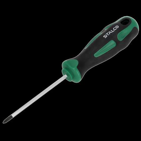 Izvijač Philips PH2 x 100mm