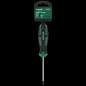 Izvijač Philips PH2 x 100mm