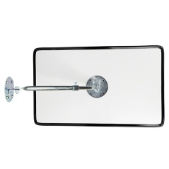 Dancop Check mirror 30 x 50 cm