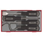 Teng Tools Garnitura TTSR04