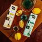 ERLA SATO 50 ML - SUMMER TIME ERLA SATO 50 ML - SUMMER TIME