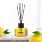 ERLA SATO 50 ML - SUMMER TIME ERLA SATO 50 ML - SUMMER TIME