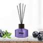 ERLA SATO 50 ML - SWEET EVENING ERLA SATO 50 ML - SWEET EVENING