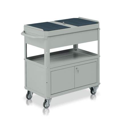 Voziček transportni tip C556