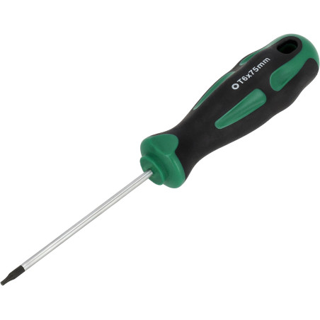 Izvijač Torx TT T6x75mm