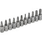 Garnitura bit 1/4”, 11 kos