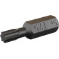 Bit TORX 1/4" T40x25