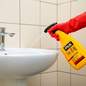 Erla Saniz Max Cleaner 750ml