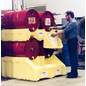 ENPAC Poly Racker - osnovni modul